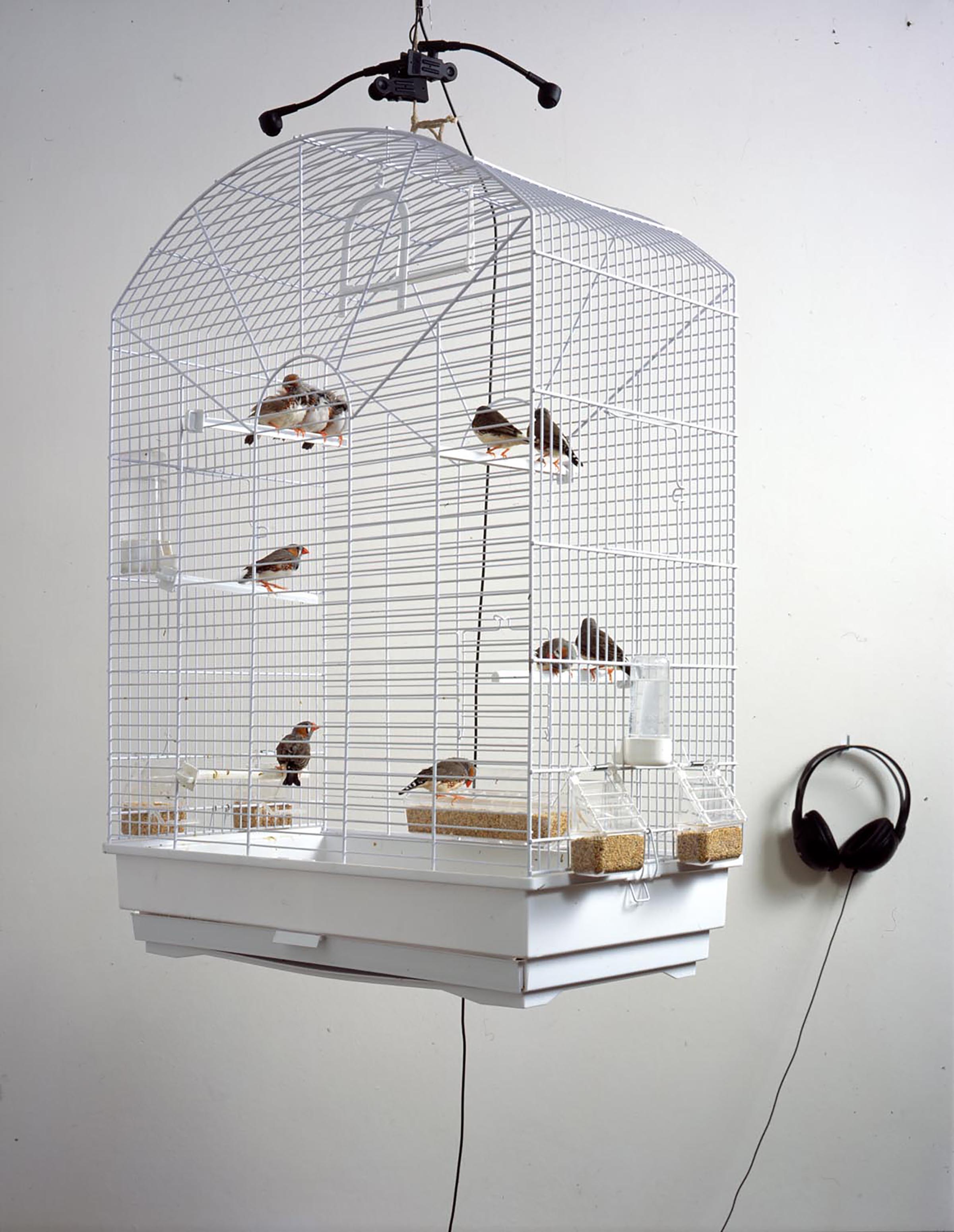 Bruna Esposito, Sereno-variabile, 2002 (detail)